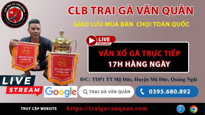 Đoạn 2 Ngày 30-11-2025